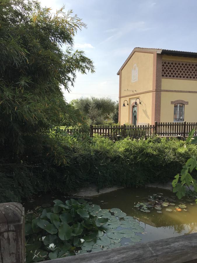 庞蒂索明西奥 Agriturismo Corte Salandini酒店 外观 照片