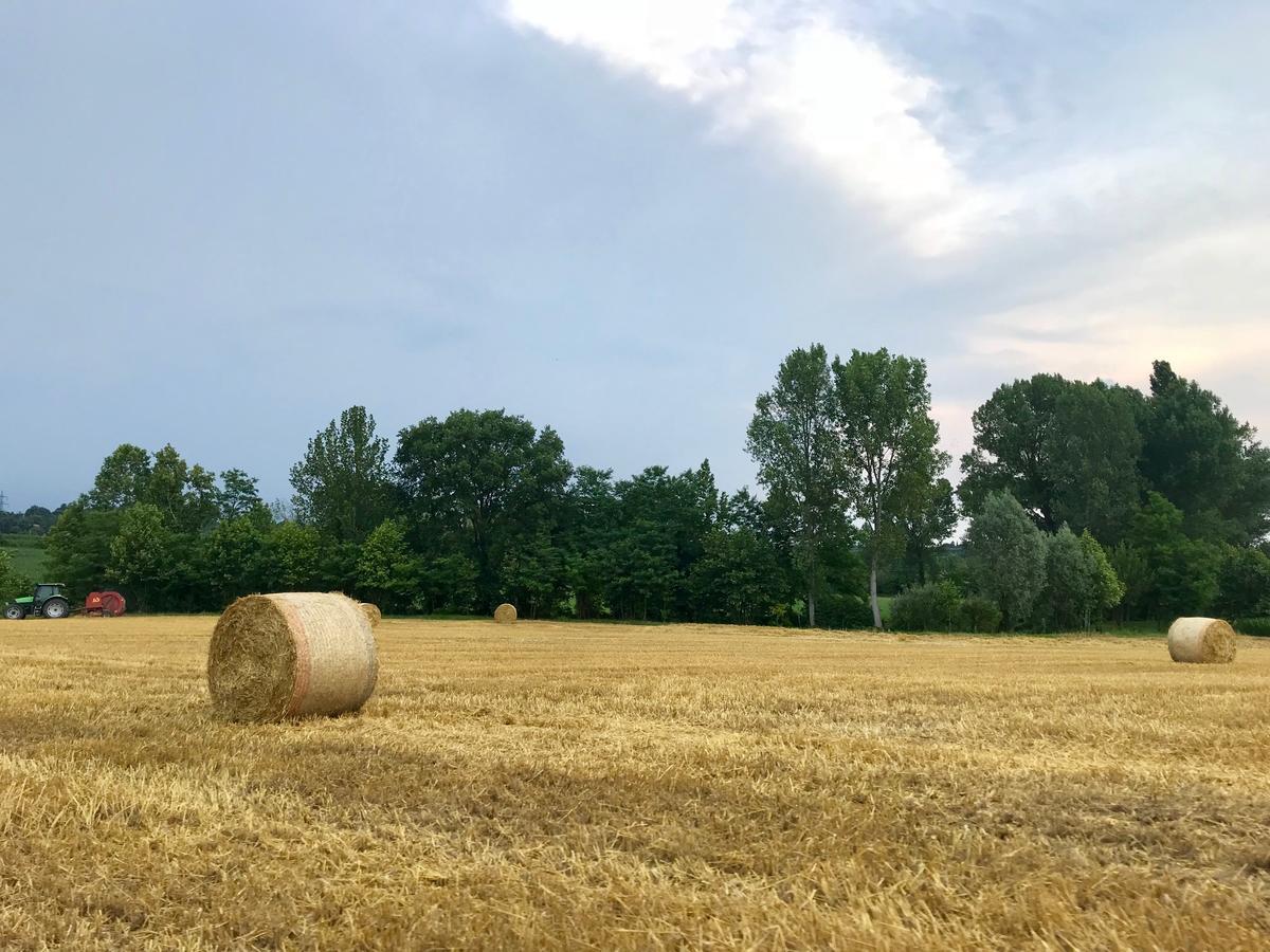 庞蒂索明西奥 Agriturismo Corte Salandini酒店 外观 照片